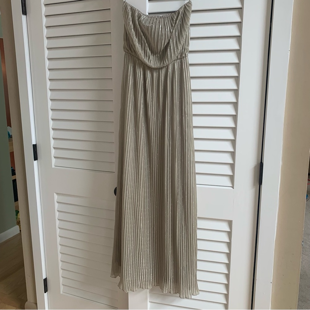 NWT The Limited Maxi Dress XS Shimmer Strapless